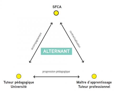 schema